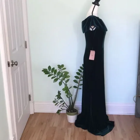 BHLDN Fawn Velvet Dress size 12 - Picture 8 of 8